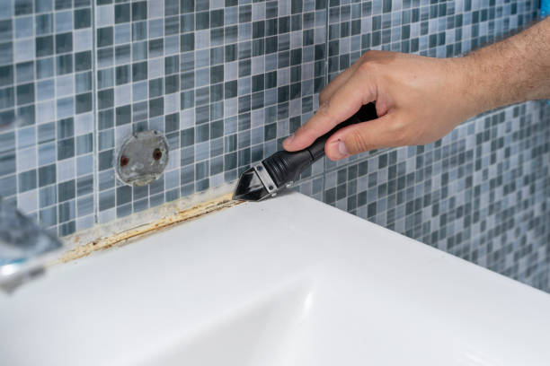  Solomon, KS Mold Removal Pros