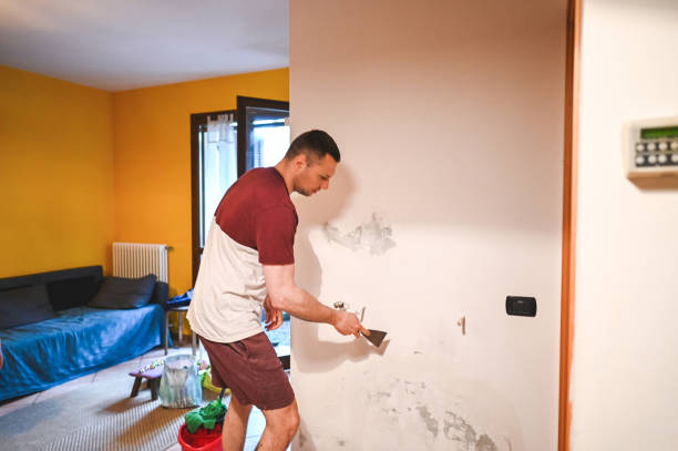 Best Bathroom Mold Remediation in Solomon, KS